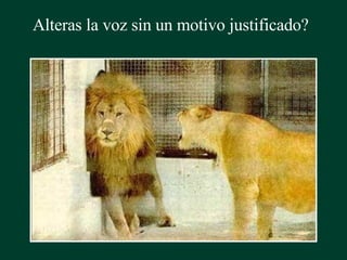 Alteras la voz sin un motivo justificado? 