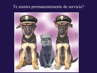 Te sientes permanentemente de servicio? 