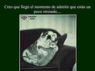 Creo que llegó el momento de admitir que estás un poco stresado.... 