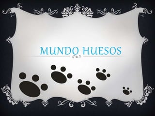 MUNDO HUESOS
 