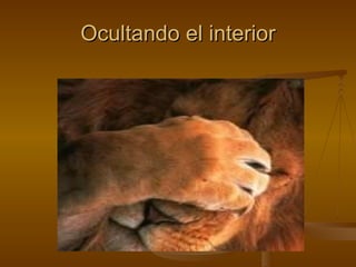 Ocultando el interior 