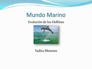 Mundo Marino
Evolución de los Delfines
Yadira Meneses
 