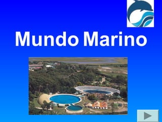 Mundo Marino

 