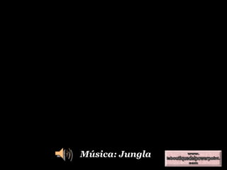 Música: Jungla 