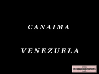 C A N A I M A V E N E Z U E L A 