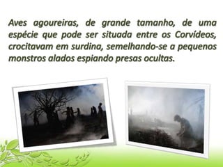 Mundos transitórios - n.25