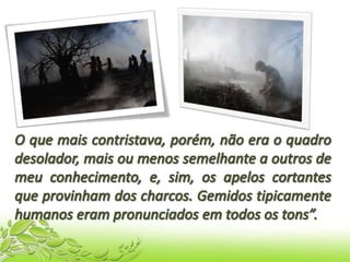 Mundos transitórios - n.25