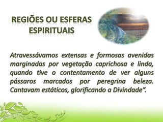 Mundos transitórios - n.25