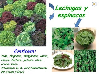 Lechugas y
                                      espinacas




         Contienen:
Yodo, magnesio, manganeso, calcio,
hierro, fósforo, potasio, cloro,
cromo, boro.
Vitaminas: E, K, B12,(Riboflavina)
B9 (Acido Fólico)
 