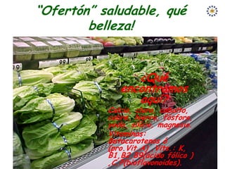 “Ofertón” saludable, qué
        belleza!


                    ¿Qué
              encontramos
                 aquí?
           Calcio, cloro, cobalto,
           cobre, hierro, fósforo,
           yodo, silício, magnesio.
           Vitaminas:
           Betacarotenos ó
           (pro.Vit.A) ,Vits.: K,
           B1,B2,B9(ácido fólico )
           ,C,P(bioflavonoides).
 