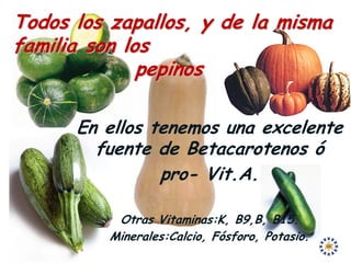 Todos los zapallos, y de la misma
familia son los
              pepinos

      En ellos tenemos una excelente
        fuente de Betacarotenos ó
                pro- Vit.A.

           Otras Vitaminas:K, B9,B, B15.
          Minerales:Calcio, Fósforo, Potasio.
 