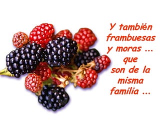 Y también
frambuesas
y moras …
    que
 son de la
   misma
 familia …
 