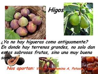 Higos …



¿Ya no hay higueras como antiguamente?
En donde hay terrenos grandes, no solo dan
estas sabrosas frutas, sino una muy buena
sombra.

  Nos aportan:   Vit.C, Provitamina A, Potasio y Calcio
 