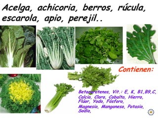 Acelga, achicoria, berros, rúcula,
escarola, apio, perejil..




                                  Contienen:

                 Betacarotenos, Vit.: E, K, B1,B9,C,
                 Calcio, Cloro, Cobalto, Hierro,
                 Flúor, Yodo, Fósforo,
                 Magnesio, Manganeso, Potasio,
                 Sodio,
 