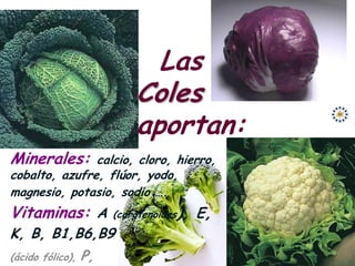 Las
                           Coles
                           aportan:
Minerales:     calcio, cloro, hierro,
cobalto, azufre, flúor, yodo,
magnesio, potasio, sodio ….
Vitaminas: A           (carotenoides   ), E,
K, B, B1,B6,B9
(ácido fólico),   P,
 