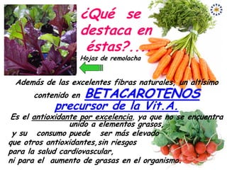 ¿Qué se
                     destaca en
                      éstas?....
                     Hojas de remolacha


 Además de las excelentes fibras naturales, un altísimo
      contenido en    BETACAROTENOS
            precursor de la Vit.A.
 Es el antioxidante por excelencia, ya que no se encuentra
                 unido a elementos grasos,
 y su consumo puede ser más elevado
que otros antioxidantes,sin riesgos
para la salud cardiovascular,
ni para el aumento de grasas en el organismo.
 
