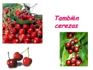 También
cerezas
 