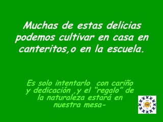 Muchas de estas delicias
podemos cultivar en casa en
 canteritos,o en la escuela.


  Es solo intentarlo con cariño
  y dedicación ,y el “regalo” de
     la naturaleza estará en
          nuestra mesa-
 