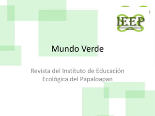 Mundo Verde

Revista del Instituto de Educación
    Ecológica del Papaloapan
 