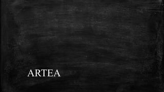 ARTEA
 