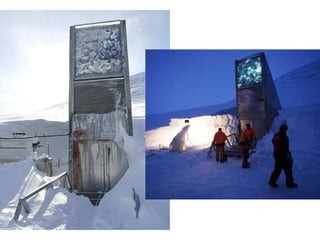 Kriptako sarrerak   diseinu futurista   du, egunean zehar eguzki izpiak islatu eta gaueko iluntasunean distira egiten duten metalezko ispilu batzuek osatzen dute,  Dyveke Sanne   artista norvegiarraren obra da. Atearen ondoan konpresoreak daude, bunkerraren barnealdea hozteko erabiltzen direnak. 