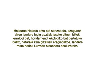 Helburua Noeren arka bat sortzea da, ezagunak diren landare lagin guztiak jasoko dituen biltoki erraldoi bat, hondamendi ekologiko bat gertatuko balitz, naturala zein gizakiak eragindakoa, landare mota horiek Lurrean birlandatu ahal izateko. 