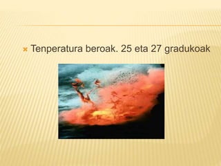  Tenperatura beroak. 25 eta 27 gradukoak
 