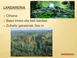 LANDARERIA
 Oihana
 Baso trinko eta beti berdea
 Zuhaitz garaienak 3oo m
INFORMAZIO +
 