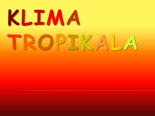 KLIMA
TROPIKALA
 