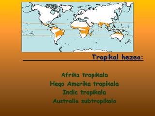 Tropikal hezea:
Afrika tropikala
Hego Amerika tropikala
India tropikala
Australia subtropikala
 