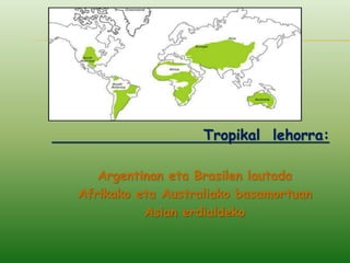 Tropikal lehorra:
Argentinan eta Brasilen lautada
Afrikako eta Australiako basamortuan
Asian erdialdeko
 