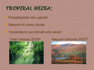 TROPIKAL HEZEA:
Prezipitazioak oso ugariak
Bakarrik bi urtaro daude
Tenperatura oso beroak urte osoan:
Udan (hezea) 25/30º Neguan (lehorra) 20/23º
 