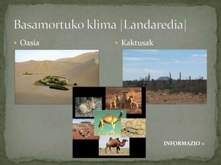  Oasia  Kaktusak
INFORMAZIO +
 