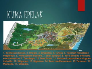 KLIMA EPELAK
1. Koniferoen basoa. 2. Urtegia. 3. Errepidea. 4. Tunela. 5. Herri bat mendiaren
magalean. 6. Nekazaritza-industria. 7. Zelai zabalak. 8. Baso bakana eta hosto
erororkorrekoa. 9. Zerrategia. 10. Zelai itxiak. 11. Hiriaren kanpoaldean dagoen
industria. 12. Hirigunea. 13. Higadura. 14. Baso mediterraneoa. 15. Turismoa. 16.
Mahastia. 17. Olibadia.
 
