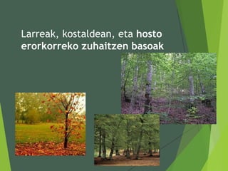 Larreak, kostaldean, eta hosto
erorkorreko zuhaitzen basoak
 
