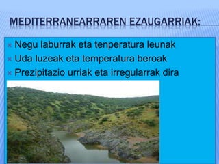 MEDITERRANEARRAREN EZAUGARRIAK:
 Negu laburrak eta tenperatura leunak
 Uda luzeak eta temperatura beroak
 Prezipitazio urriak eta irregularrak dira


 