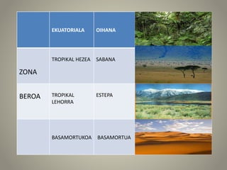 EKUATORIALA OIHANA
ZONA
TROPIKAL HEZEA SABANA
BEROA TROPIKAL
LEHORRA
ESTEPA
BASAMORTUKOA BASAMORTUA
 