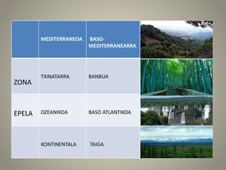 MEDITERRANEOA BASO-
MEDITERRANEARRA
ZONA
TXINATARRA BANBUA
EPELA OZEANIKOA BASO ATLANTIKOA
KONTINENTALA TAIGA
 