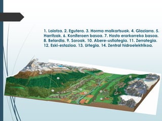 1. Laiotza. 2. Egutera. 3. Horma malkartsuak. 4. Glaziarra. 5.
Harritzak. 6. Koniferoen basoa. 7. Hosto erorkorreko basoa.
8. Belardia. 9. Soroak. 10. Abere-ustiategia. 11. Zerrategia.
12. Eski-estazioa. 13. Urtegia. 14. Zentral hidroelektrikoa.
 