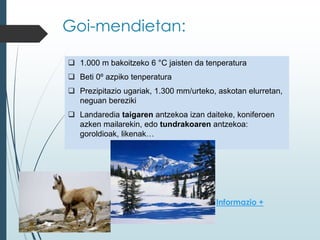 Goi-mendietan:
 1.000 m bakoitzeko 6 °C jaisten da tenperatura
 Beti 0º azpiko tenperatura
 Prezipitazio ugariak, 1.300 mm/urteko, askotan elurretan,
neguan bereziki
 Landaredia taigaren antzekoa izan daiteke, koniferoen
azken mailarekin, edo tundrakoaren antzekoa:
goroldioak, likenak…
Informazio +
 