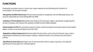 FUNCTIONS
Prokaryotic promoter serves a crucial role in gene expression by facilitating the initiation of
transcription. Its functions include:
.Recognition by RNA Polymerase:The promoter provides a recognition site for RNA polymerase, the
enzyme responsible for transcribing DNA into RNA.
.Initiation of Transcription:RNA polymerase binds to the promoter region, specifically recognizing the -
10 and -35 boxes, and initiates the synthesis of RNA from the DNA template.
.Determination of TSS:The promoter sequence helps in determining the exact point where transcription
begins, known as the transcription start site (TSS).
.Regulation of Gene Expression:Elements within the promoter, such as the UP element, play a role in
regulating the efficiency of transcription initiation. Upstream factors can influence the promoter's
activity.
.Specificity for Each Gene:Each gene has its own promoter with a unique sequence, ensuring the
specificity of transcription for individual genes.
 