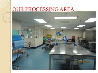 OUR PROCESSING AREA
 