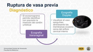 Universidad Central de Venezuela
Facultad de Medicina
Ruptura de vasa previa
Diagnóstico
• El ecosonograma
permite identif...