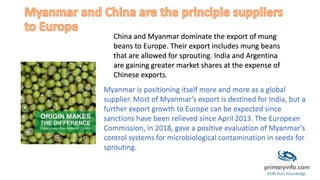 China and Myanmar dominate the export of mung
beans to Europe. Their export includes mung beans
that are allowed for sprouting. India and Argentina
are gaining greater market shares at the expense of
Chinese exports.
Myanmar is positioning itself more and more as a global
supplier. Most of Myanmar’s export is destined for India, but a
further export growth to Europe can be expected since
sanctions have been relieved since April 2013. The European
Commission, in 2018, gave a positive evaluation of Myanmar’s
control systems for microbiological contamination in seeds for
sprouting.
 