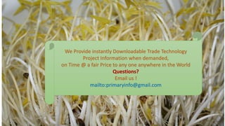 We Provide instantly Downloadable Trade Technology
Project Information when demanded,
on Time @ a fair Price to any one anywhere in the World
Questions?
Email us !
mailto:primaryinfo@gmail.com
 