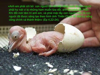 «Anh em phải cởi bỏ  con người cũ với nếp sống xưa, là con người phải hư nát vì bị những ham muốn lừa dối, anh em phải để Thần Khí đổi mới tâm trí anh em, và phải mặc lấy con người mới, là con người đã được sáng tạo theo hình ảnh Thiên Chúa để thật sự sống công chính và thánh thiện» (Ep 4,22-24). 