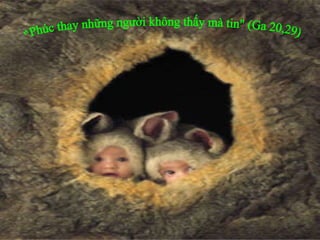 "Phúc thay những người không thấy mà tin" (Ga 20,29). 