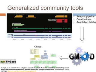 • Analysis pipeline
• Curation tools
• Annotation databa
Chado
Mungall, C. J., Emmert, D. B., & FlyBase Consortium, (2007). A Chado case study: an ontology-based
modular schema for representing genome-associated biological information. Bioinformatics, 23(13),
i337-346. http://doi.org/10.1093/bioinformatics/btm189
Generalized community tools
 