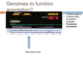 • Analysis pipeline
• Curation tools
• Annotation
database
• Functional
annotation
Genomes to function
annotation?
What does it do?
 