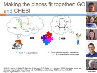 Making the pieces fit together: GO
and CHEBI
Hill, D. P., Adams, N., Bada, M., Batchelor, C., Berardini, T. Z., Dietze, H., … Lomax, J. (2013). Dovetailing biology and
chemistry: integrating the Gene Ontology with the ChEBI chemical ontology. BMC Genomics, 14(1), 513.
http://doi.org/10.1186/1471-2164-14-513
GO CHEBI
• Some relationships didn’t make sense
• E.g. nucleotide isa carbohydrate
• Acids  conjugate bases
Harold Drabkin
David Hill
Jane Lomax
Tanya Berardini
Janna Hastings
 